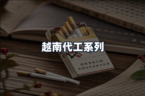 越南代工系列